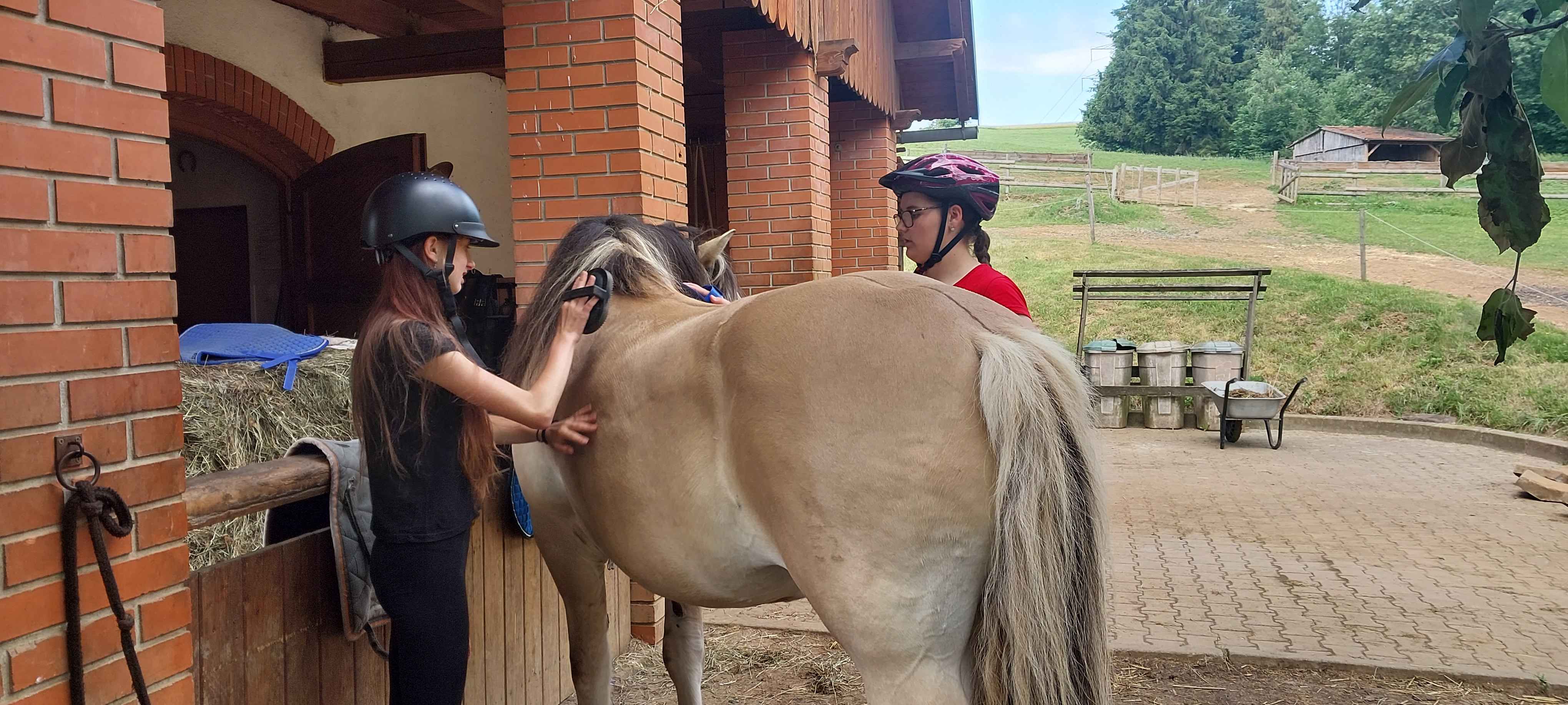Návštěva jezdeckého klubu Jurášek
