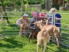 20190619_092327