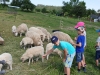 20190619_095437
