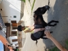 20190619_102625