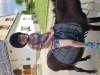 20190619_103020
