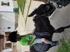20190619_103213