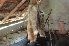 24256A6Barcheoparkchotebuz-11