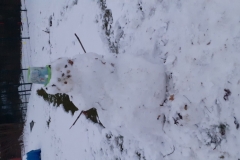 Víťův sněhulák