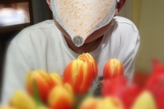 Lišák Matýsek