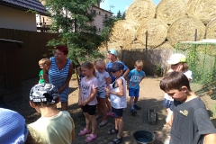 IMG_20190619_095358
