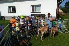 IMG_20190619_100123