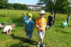 IMG_20190619_100653