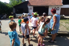 IMG_20190619_100953