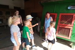 IMG_20190619_101219