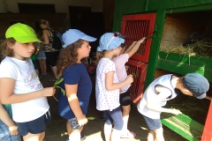IMG_20190619_101536
