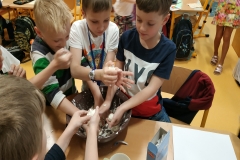 IMG_20190412_112647