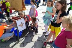 IMG_20190426_104016