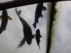 20190617_110345