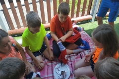 IMG_20190606_113336