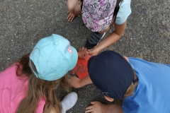 IMG_20190603_145336