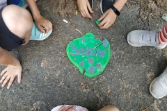 IMG_20190603_145617