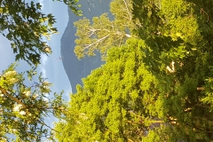 20190605_194844