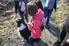 IMG_20190404_095037
