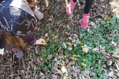 IMG_20190404_104415