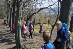 IMG_20190404_105734