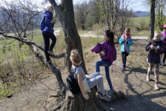 IMG_20190404_105739