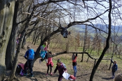 IMG_20190404_105752