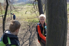 IMG_20190404_105754