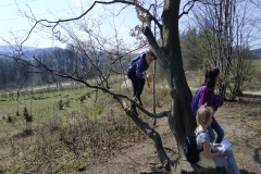 IMG_20190404_105756