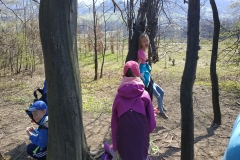 IMG_20190404_105805