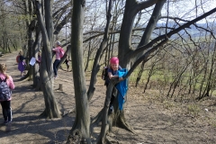 IMG_20190404_105812