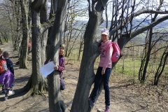 IMG_20190404_105819
