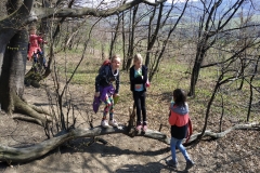 IMG_20190404_105831