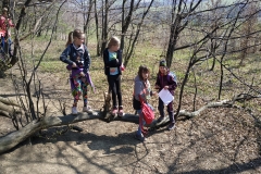IMG_20190404_105834