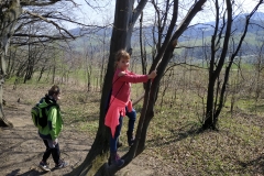 IMG_20190404_105844