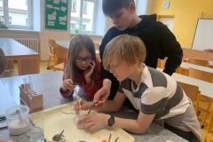 IMG-20250328-WA0005