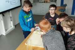 IMG-20250328-WA0027