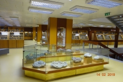 DSC03010