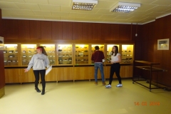 DSC03012
