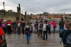 IMG_20191011_164753