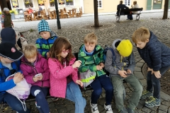 IMG_20191011_155840