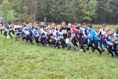 prespolnibehokr2526-3