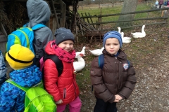 IMG_20181206_111154