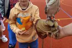 438095205_463722869348598_1480448556666322437_n