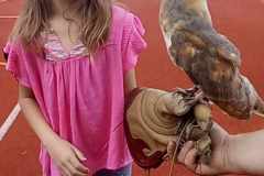 438095221_1468377097404171_93050914640616304_n-1