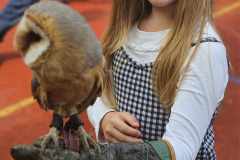 438154540_974052927602103_4676705257807051529_n-1