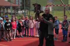 438158332_1561771491068215_1402344193502123855_n