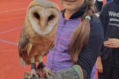 438171560_758190619632917_7276274327757482588_n-2