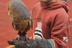 441097304_801799405224735_819216175243206313_n