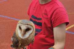 441097311_1155457295732807_6346806363748534501_n-1